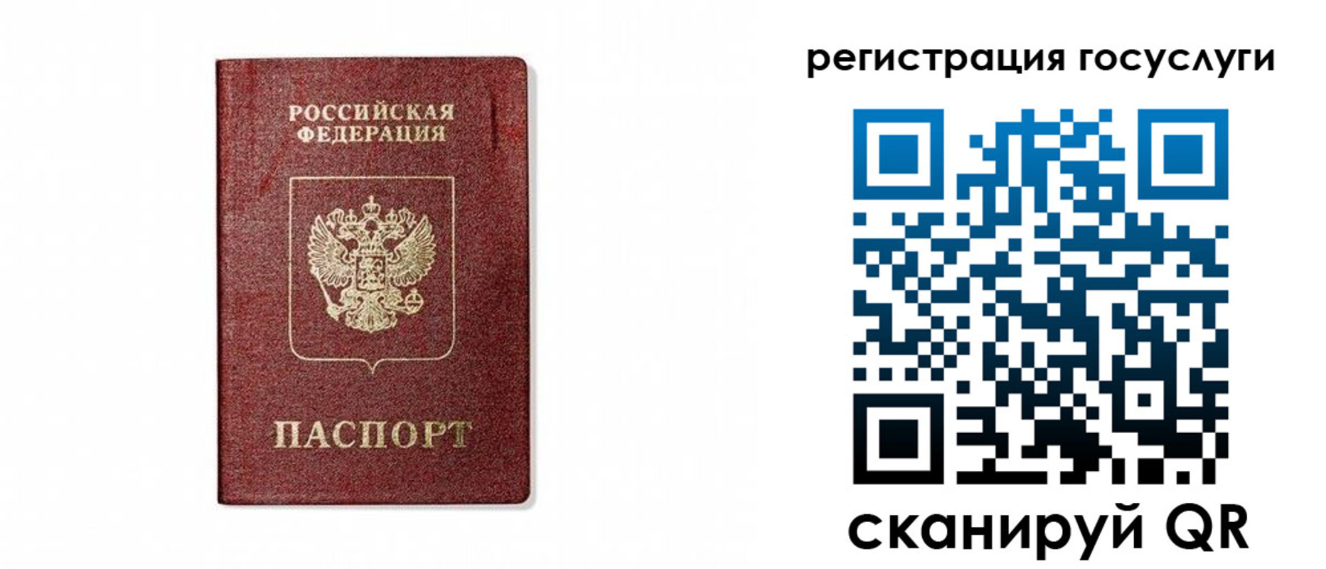 прописка паспорт в Отрадном